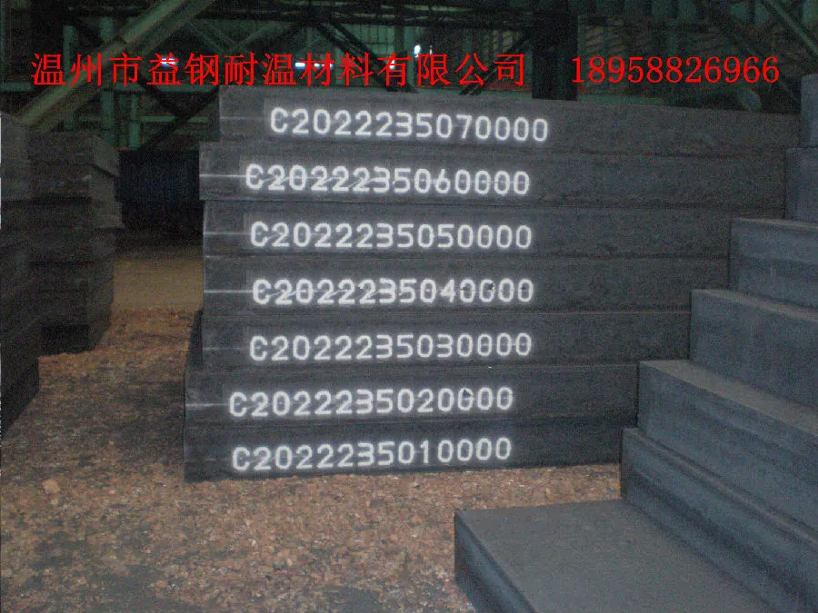 P2261140.webp